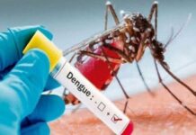 Cinco departamentos del país se encuentran en epidemia por dengue