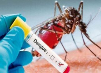 Doctor Umaña insiste en decretar emergencia por dengue en Honduras