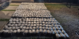 Policía Nacional captura a dos hombres con 788 libras de marihuana en el departamento de Yoro
