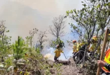 Bomberos continúan sofocando incendio forestal en el Valle de Amarateca