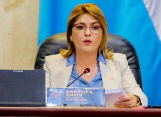 En año electoral, secretaria del CN propone que el DNI pueda ser reclamado por terceras personas autorizados