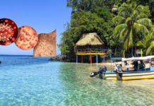 Islas de la Bahía registra el primer caso de viruela símica