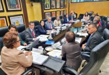 Pleno de magistrados de la CSJ elegirá sustituto de Wilfredo Castellanos Hipp de la lista enviada por la Junta Nominadora al Congreso