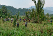 Ante amenaza de invasiones, detienen el financiamiento para la cosecha 2023-2024