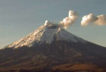 Volcán Cotopaxi emana columna de 600 metros de vapor y gases
