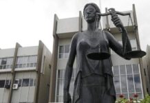 Abogado recomienda a la CSJ enfocarse en la reducción de la mora judicial y no en la extradición