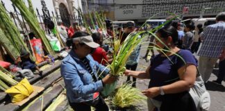 Campesinos llegan con palmas a iglesias hondureñas previo a Domingo de Ramos