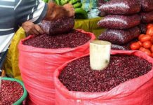 Presidenta quiere que seamos el granero de CA y apenas producimos 50 % de comida: Anach