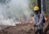 Hodureños intentan controlar un incendio en el cerro del Parque Nacional Celaque