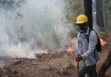 Hodureños intentan controlar un incendio en el cerro del Parque Nacional Celaque
