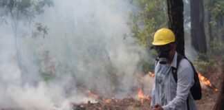 Hodureños intentan controlar un incendio en el cerro del Parque Nacional Celaque