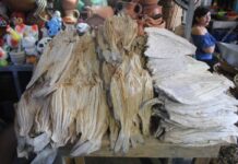 Entre 3 y 5 lempiras sube el precio de la libra de pescado en mercados capitalinos