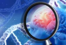 Zonas del cerebro dañadas por la hipertensión afectan en la demencia