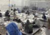 Unos 25.000 migrantes están en centros de detención en Estados Unidos