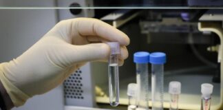 Un nuevo gel detiene en ratones el glioblastoma, un tumor cerebral letal