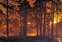 Helicóptero de la Fuerza Aérea de Honduras se suma a las acciones para controlar el incendio forestal en El Hatillo