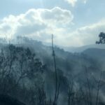 En menos de cinco día se reporta un tercer incendio forestal en la zona de El Hatillo