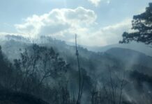 En menos de cinco día se reporta un tercer incendio forestal en la zona de El Hatillo