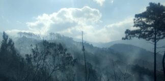 En menos de cinco día se reporta un tercer incendio forestal en la zona de El Hatillo