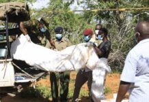 Hallan los cadáveres de 39 presuntos miembros de una secta en Kenia