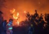 El ICF señala que en Honduras se han registrado unos 820 incendios forestales durante el 2023