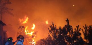 El ICF señala que en Honduras se han registrado unos 820 incendios forestales durante el 2023