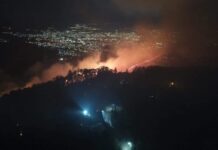 Al menos unas nueve personas han sido detenidas por delitos forestales en Honduras, según el ICF