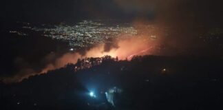 Al menos unas nueve personas han sido detenidas por delitos forestales en Honduras, según el ICF