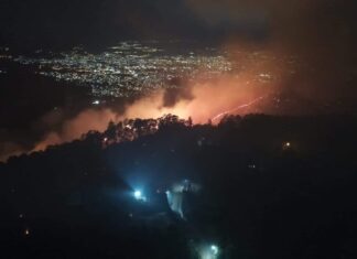 Al menos unas nueve personas han sido detenidas por delitos forestales en Honduras, según el ICF