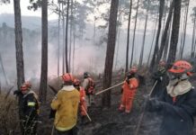 Incendio en El Zamorano se extiende montaña adentro
