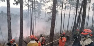 Incendio en El Zamorano se extiende montaña adentro