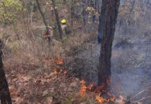 Voraz incendio consume varias hectáreas de bosque en La Montañita, en cercanías de la reserva de Uyuca
