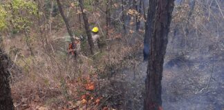 Voraz incendio consume varias hectáreas de bosque en La Montañita, en cercanías de la reserva de Uyuca