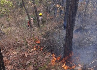 Voraz incendio consume varias hectáreas de bosque en La Montañita, en cercanías de la reserva de Uyuca