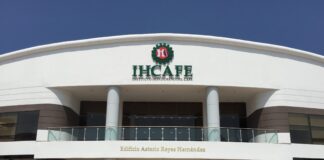 Productores independientes piden que se haga una auditoría al Ihcafé
