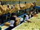 Hasta dos años podría tardar la introducción de productos hondureños a China y productores piden buscar alternativas