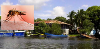 El departamento de Gracias a Dios concentra el 98 % de los casos de malaria en Honduras