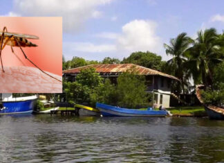 El departamento de Gracias a Dios concentra el 98 % de los casos de malaria en Honduras