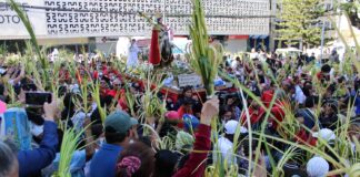 Miles de hondureños con ramos de palma celebran la misa del Domingo de Ramos que marca el inicio de la Semana Santa
