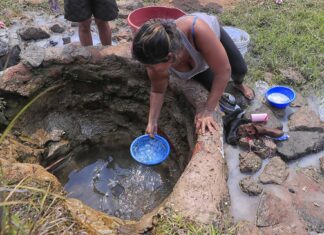 Honduras celebra Día de Tierra afectada por incendios y llamados a protegerla