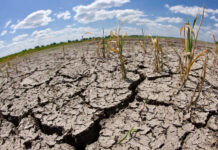 El Niño provocará sequías más severas y picos de calor