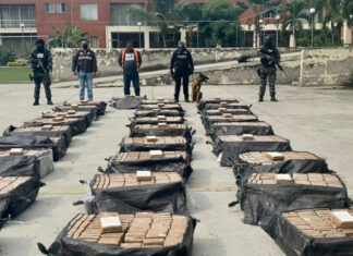 Discuten nuevas estrategias de combate a las drogas en América Latina