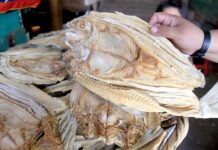 Se “dispara” demanda de productos del mar