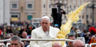 El papa, en su reaparición en Domingo de Ramos: «Nadie puede ser marginado»