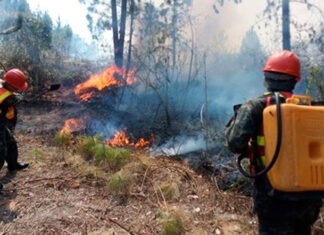 Bomberos combaten por tierra y aire un incendio forestal que afecta la Reserva Biológica Uyuca, en Francisco Morazán