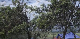 Unas 25 mil hectáreas de tierra productiva han sido invadidas en el territorio nacional