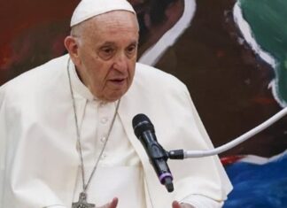 El papa pide políticas con visión de futuro para proteger el medio ambiente