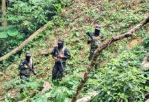 Las FFAA asegura ocho manzanas de planta de coca en el departamento de Atlántida
