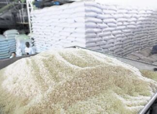 Honduras ante las puertas de una escasez de arroz por falta de mano de obra