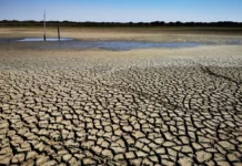 Unos L. 5 mil millones se necesitará para atender municipios afectados por sequía